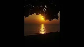 Deep Sleep Ocean Waves 🌊 Calm Sea Sounds for Insomnia & Anxiety Relief