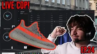 YEEZY 350 BELUGA REFLECTIVE WRATH LIVE COP! - How To Sneaker Bot Ep.24