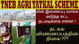 🔥TATKAL திட்டத்தில் மின்இணைப்பு NEXT STEP | தட்கல் விண்ணப்பத்தின் நிலை? Application Status #tatkal