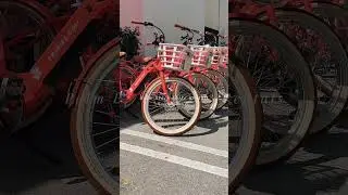 Experience Florida Like Never Before #ebike #smallbusiness #palmbeach #bicycle #beach #travel