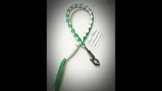 Getback Whip , fouet de guidon US American spirit