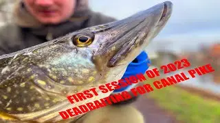 Deadbaiting For Pike || Tips and Techniques For Catching Pike!