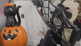 Halloween hunting at Homegoods 2025!