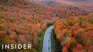 What Fall Looks Like Around The World
