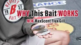 Секрет MaxScent Flux Gill от Berkley | Эдвин Эверс объясняет