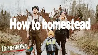 How to Homestead | Homesteading in Canada | Homegrown Year in Review (Part2)