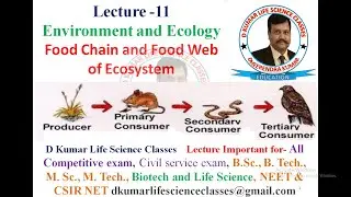 Evs/Difference between Food Chain and Food Web, Food Chain & type, Food Web  by Dheerendra Kumar