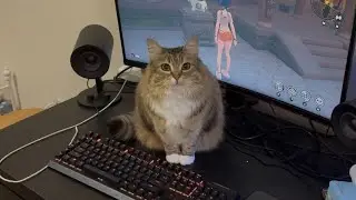 Don&rsquo;t play computer 