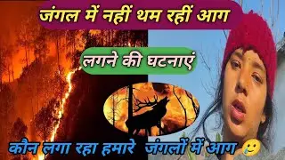 जंगल🌲 में नहीं थम रहीं 🔥आग लगने की घटनाएं✅ sanjuvlogs|| Daily pahadi lifestyle vlogs||✅✨