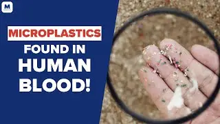 Finding Microplastics in Human Blood: What Are the Consequences? | Mastering Diabetes