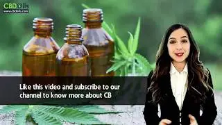 CBD Oil Relieves Chronic Pain?