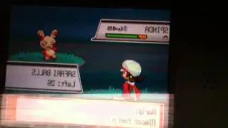 How To catch Spinda