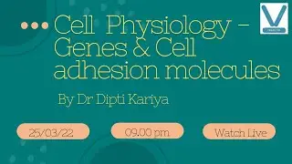 Cell Physiology: Genes, Cell Adhesion Molecules