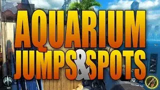 Black Ops 3 Jumps and Wall Run Spots - AQUARIUM
