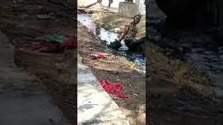best holibaz