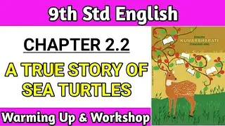 a true story of sea turtles Question Answer | class 9 chapter 2.2 warming up and English Workshop