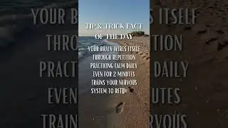 Train Your Brain for Calm 🧠