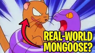 Моменты «Что за хрень» в Pokemon (S01E20) | ПРИЗРАК МЕЙДЕН-ПИКА | Гастли превращает Брока и Джейм...