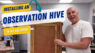 Bee Observation Hive Installation Done Right | Here's How