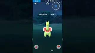 Pokemon Go catch Meganium