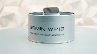Обзор GSMIN WP10