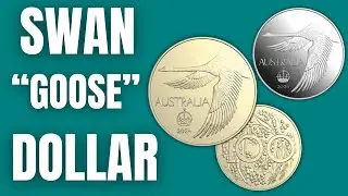 Australian Flying Swan 