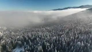 Road to Harrachov 