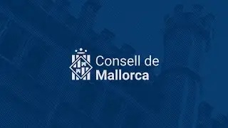 Ple del Consell de Mallorca d'11 de desembre de 2025