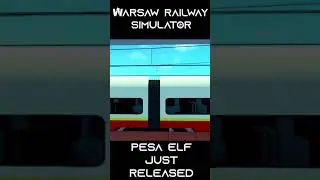 New Pesa Elf Train | Warsaw Railway #shorts