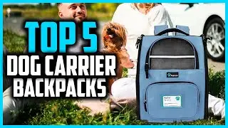 ✅ The 5 Best Dog Carrier Backpacks of 2025