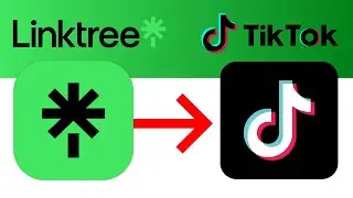 Как добавить Linktree в TikTok | Создайте бизнес-аккаунт в TikTok | Руководство по Linktree