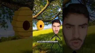 Abeilles, serpents et dangers cach&eacute;s : Guide de survie
