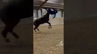 LES PIRES CHUTES &Agrave; CHEVAL P.1