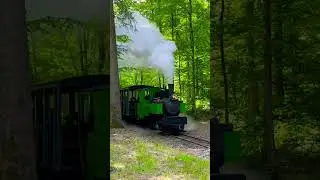 Steam Train French Forest #steam #train #french #france #epinal #forest #vapeur #fort #uxegney