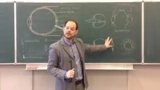 Biologie van Tim - Scherp beeld