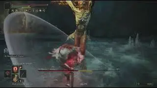 ELDEN RING - How to defeat Misbegotten Crusader?