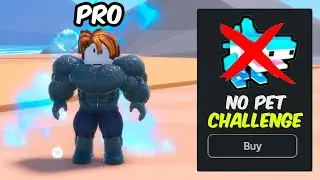 Can I Reach MAX STRENGTH in Gym Star Simulator with ZERO Pets?