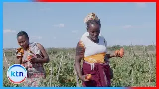 Kilifi Farmers Lead Quiet Agricultural Revolution with Irrigation and Climate-Smart Farming