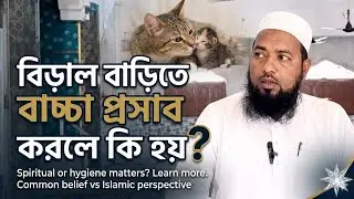 জেনে নিন বাড়িতে বিড়াল বাচ্চা প্রসব করলে কি হয়? Takrim Islamic Media