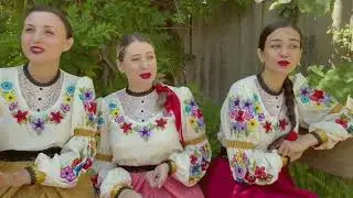 Млада - «Pošla Zora na pazar»