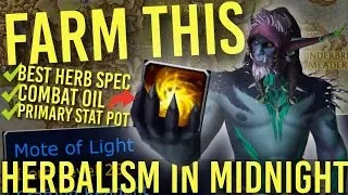 DON'T MISS! Mote of Light with Herbalism Will Make BANK: OVERLOAD Herbalism Guide WoW Midnight