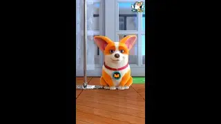 Flying MOCO 🐶 | The Best Pole Dancer 火辣鋼管秀 | Flying MOCO Shorts 爆笑飛狗MOCO (2022)
