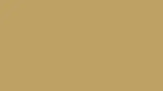 Desert Moss   Ambient Color Screen 10 Hours