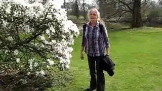 Narzissenbl&uuml;te Schloss Herten in NRW - Sch&ouml;nes Ruhrgebiet - Kohlenpott Wanderung - Historische Parks