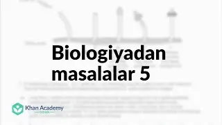 Biologiyadan masalalar 5 | Botanika | Biologiya