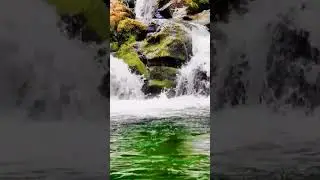 Best relaxing medolody for remove stress