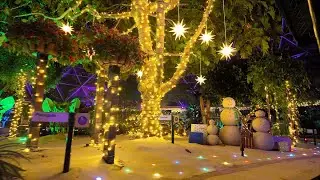 Rainy Night at EPCOT | Living with the Land Christmas Lights & a SHORT Soarin’ Ride