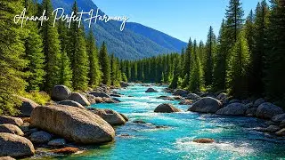 Night Routine Sleep Music for Deep Healing Sleep, Anxiety Relief, and Complete Relaxation