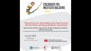 Coloquios IB - Pumping Iron: Revealing Counterintuitive Mechanisms of Magnetization Dynamics
