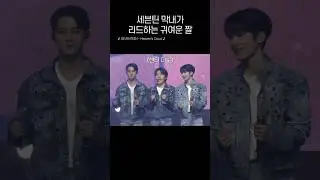 [세븐틴] 모르겠고 그냥 귀여워요